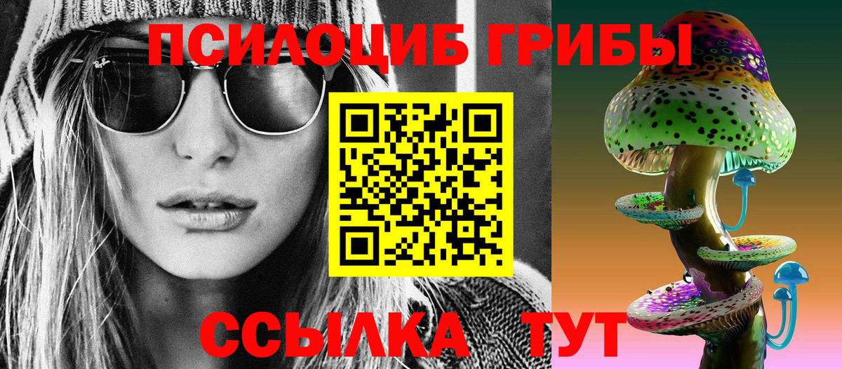 купить   Псилоцибиновые грибы Psilocybine cubensis  Вход с VPN  Чусовой 